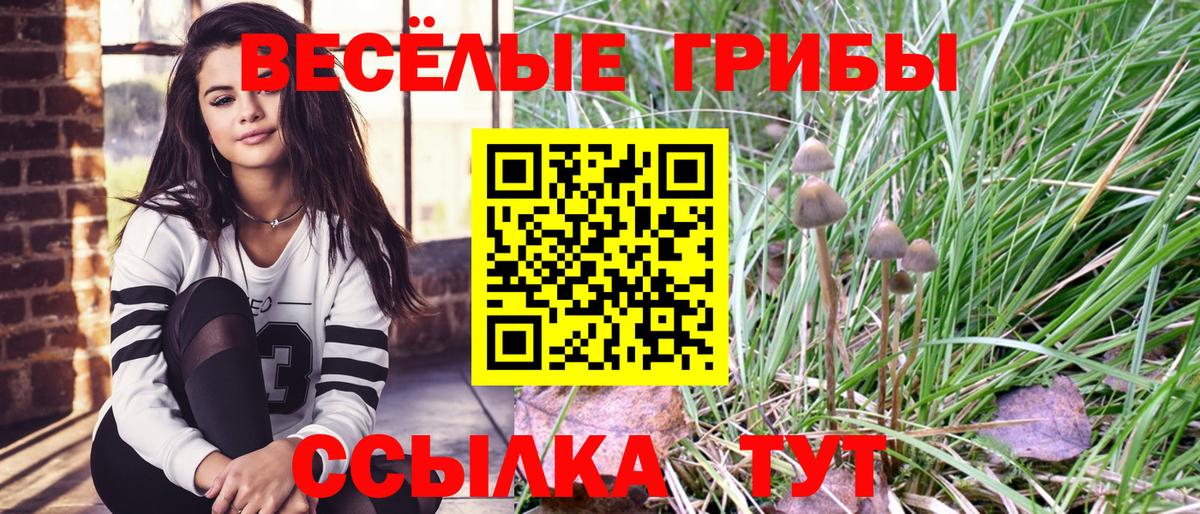 Галлюциногенные грибы GOLDEN TEACHER  Вход с VPN  Галлюциногенные грибы Magic Shrooms  Всеволожск 
